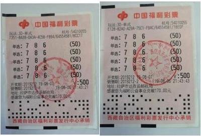  3D走势图的非技术价值探索：从开奖规律到人类认知重构