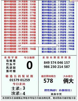  天牛3D图库精准解析：职业讲师实战课教你三维破译走势密码