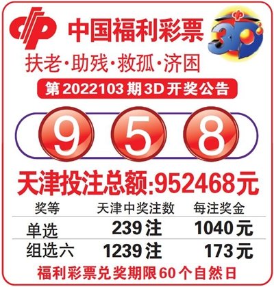  3D走势图的非技术价值探索：可视化革命如何重塑认知边疆