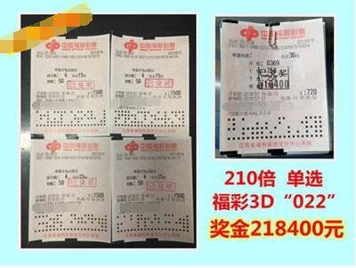  2025年3D开奖走势图革命：从概率游戏到量子解析的认知跃迁