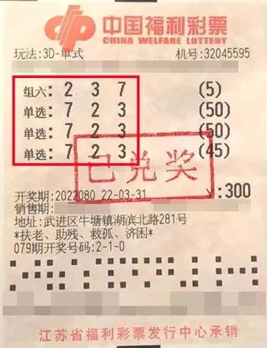  3D开奖数据深度解析：从混沌到规律的量化实践