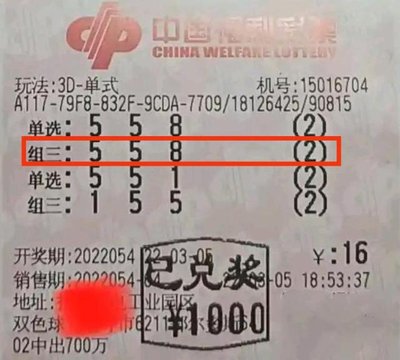  2025三维数据宇宙：当走势图突破人类认知边疆