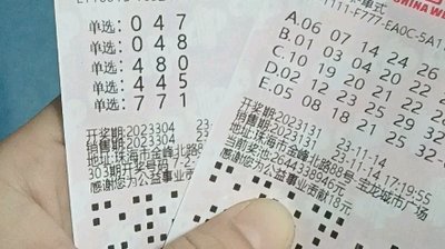 2025年3D开奖走势图：数据分析的认知革命与伦理重构